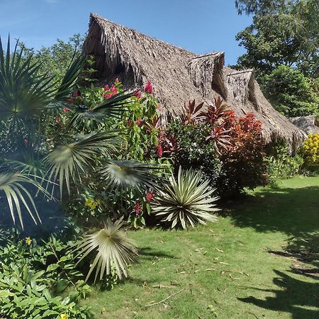 Sexto Sentido Cabanas & Pan Frances Palomino Exteriér fotografie